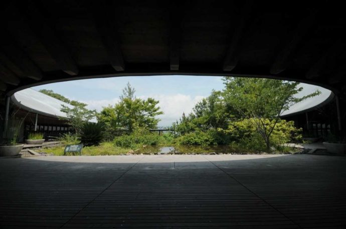 牧野博士ゆかりの植物を植栽している「牧野富太郎記念館展示館の中庭」