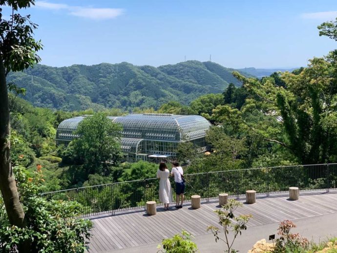 こんこん山広場からの景色と温室外観を眺めるカップル