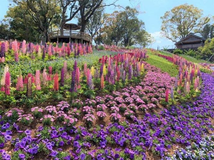 こんこん山広場で開催される「春のフラワーショー」