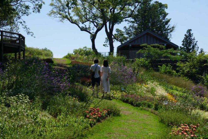 初夏のこんこん山広場にたたずむカップル