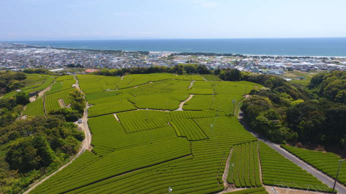 牧之原市の風景