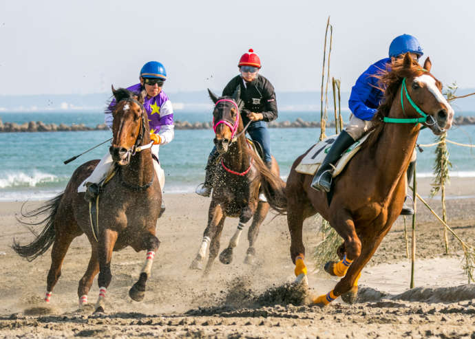 さがら草競馬大会の競馬の様子