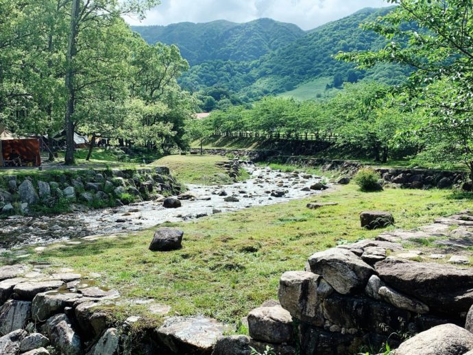 豊かな自然が魅力の滋賀県高島市のキャンプ場「マキノ高原」の敷地内