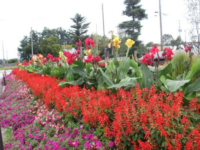 道の駅「十文字」の国道沿いにある花壇