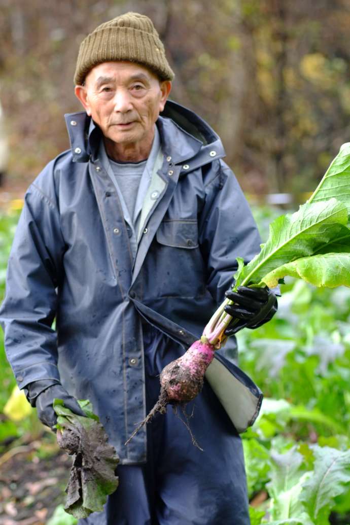 真室川町の伝承野菜とっくりかぶ