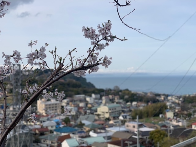 真鶴町と海の風景