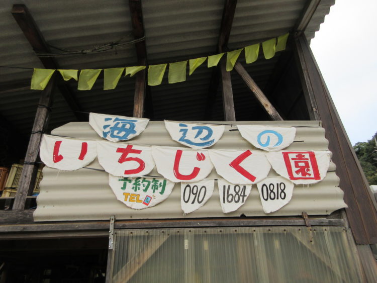 万汐農園の来園者について