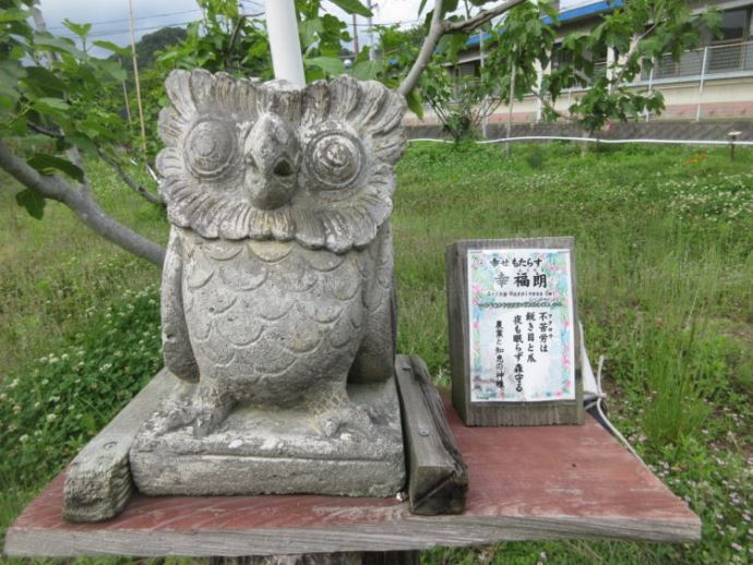 万汐農園の来園者からの口コミ