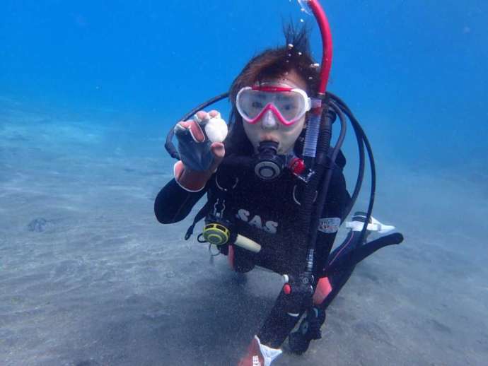 「沖ノ島ダイビングサービス マリンスノー」の体験ダイビング中に撮影された水中写真