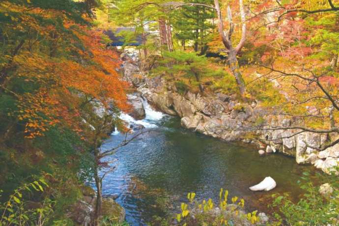 川の両岸に紅葉