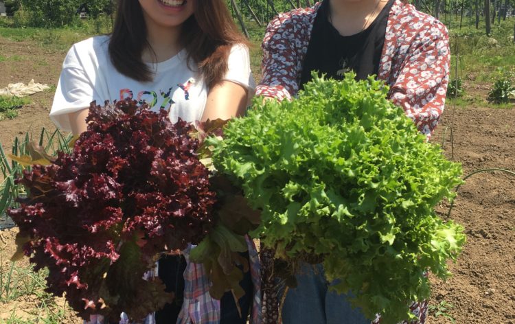 山梨県笛吹市のフルーツ収穫と料理体験ができるマルサマルシェ