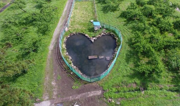 森のガーデンまるせい果樹園の園内にある恋愛スポットハート型の池