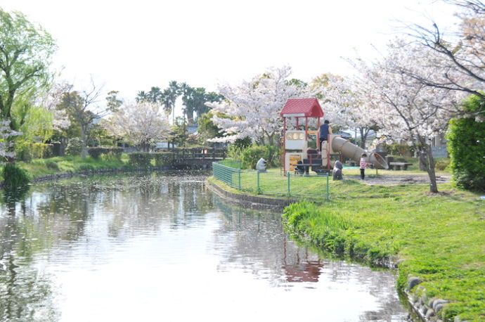 ひょこたん池公園