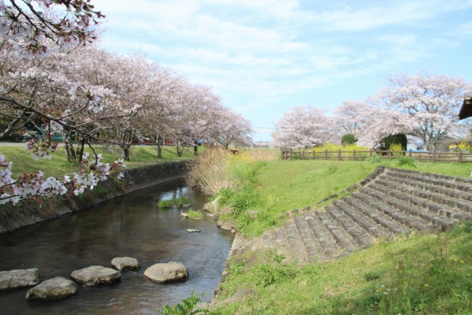 秋津川河川公園