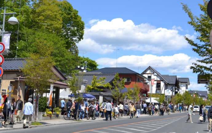 益子町で開催している益子陶器市