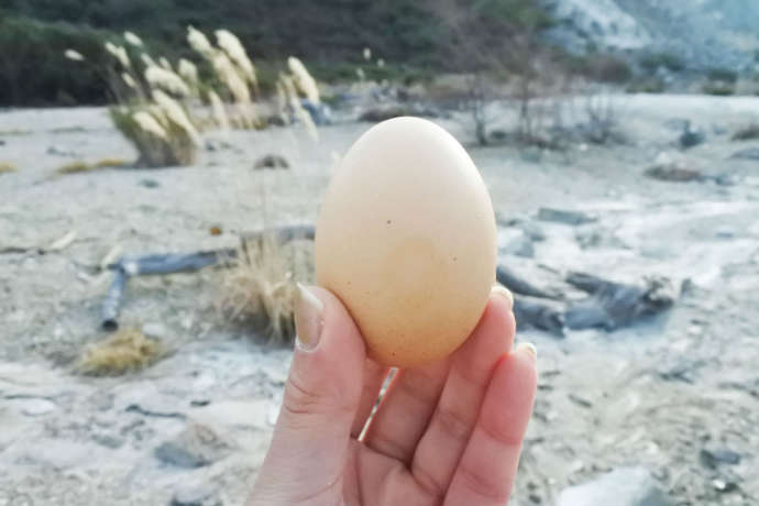 硫黄山レストハウスの温泉たまご