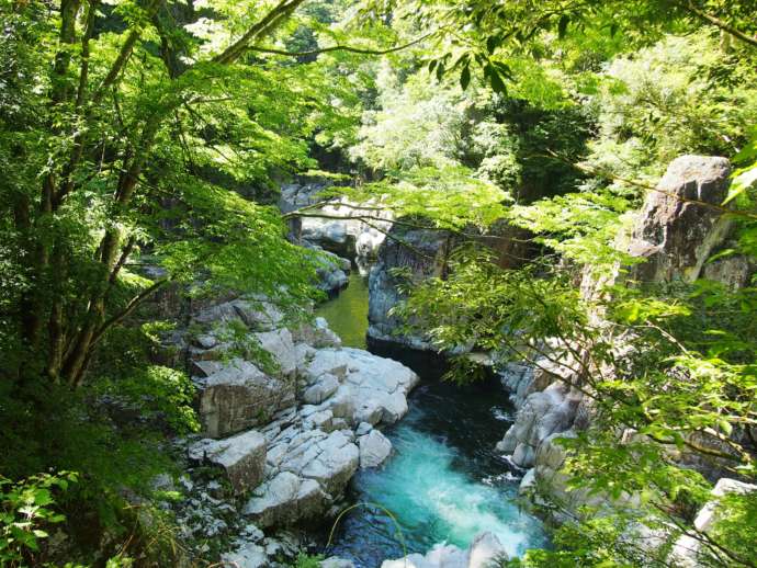 益田市の表匹見峡