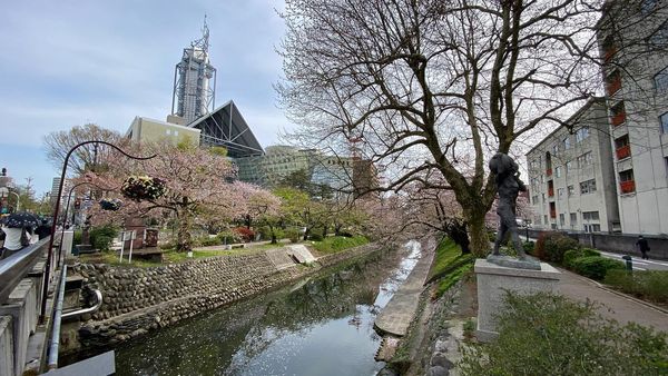 松川遊覧船から見える富山市役所の展望塔