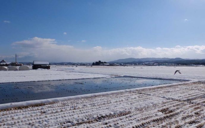 雪が積もった冬の竜王町の景色