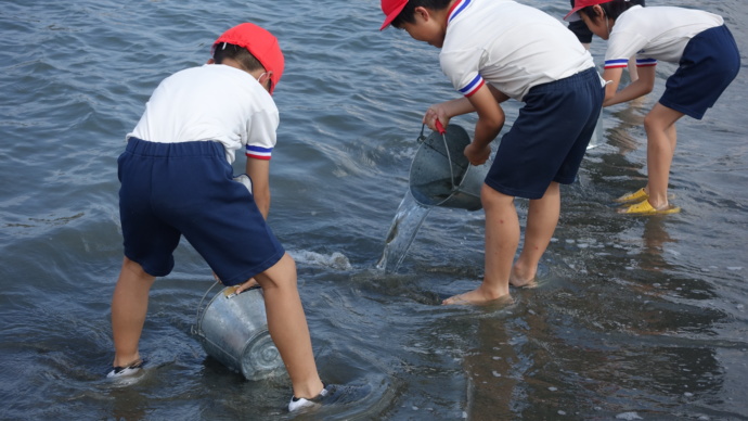 松茂町の稚魚放流活動