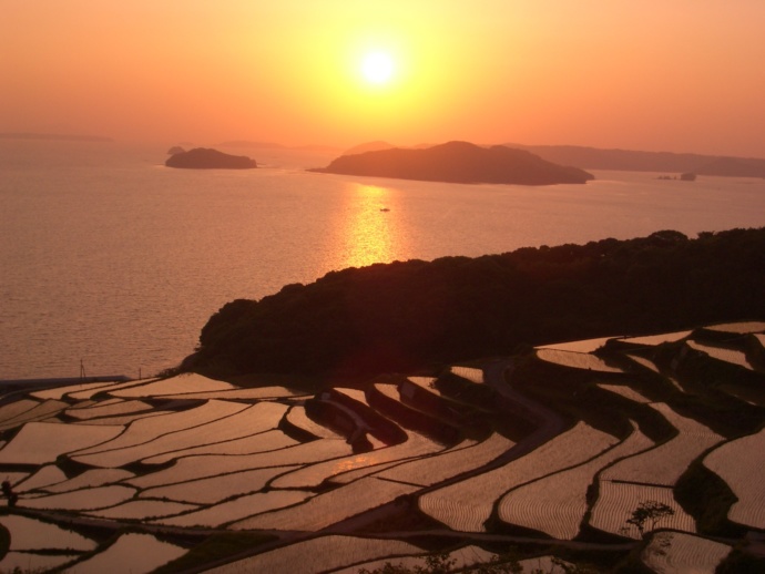 夕暮れ時の土谷棚田