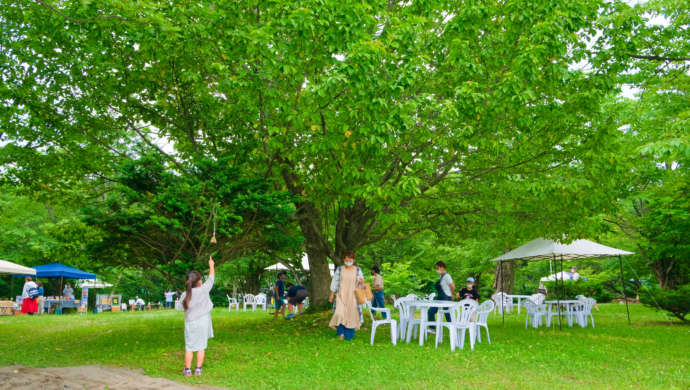 芽室町で行われたイベント・小さなマルシェの様子