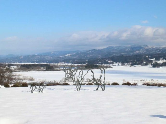 雪景色の牛の博物館のフォトスポット・風のウシ親子