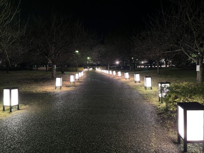 「東雲公園」のライトアップ