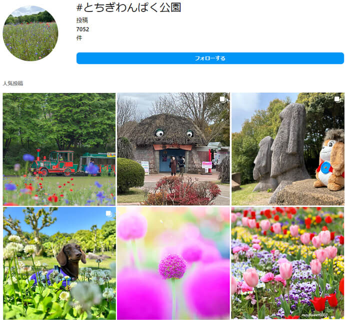 Instagramでハッシュタグの「とちぎわんぱく公園」の検索結果