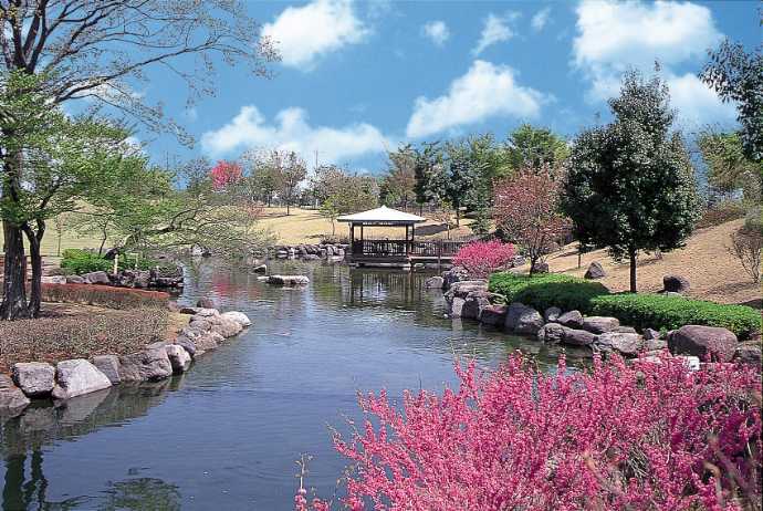 「壬生町おもちゃ博物館」から「とちぎわんぱく公園」に向かう間にある「壬生町総合公園」