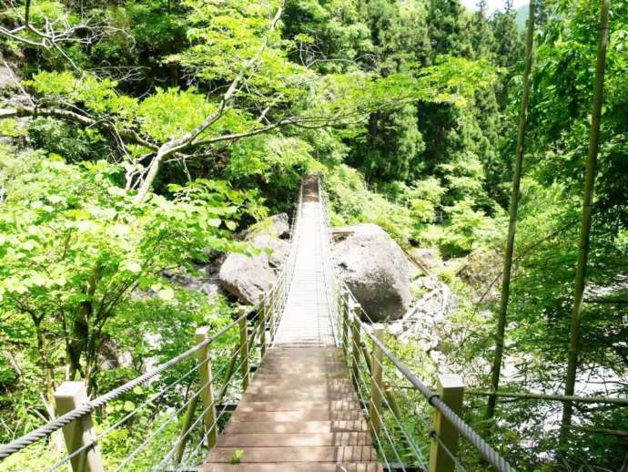 初夏の大柳川渓谷