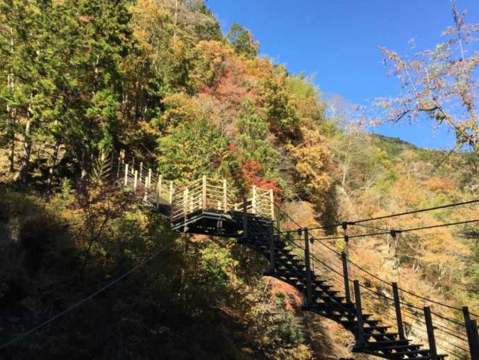 秋の大柳川渓谷