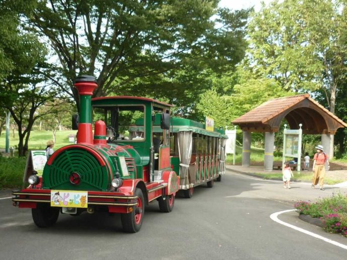 とちぎわんぱく公園内を走るわんぱくトレイン