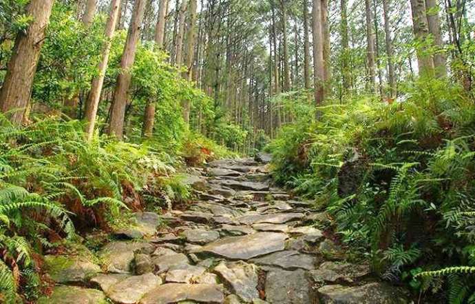 熊野古道・馬越峠の石畳