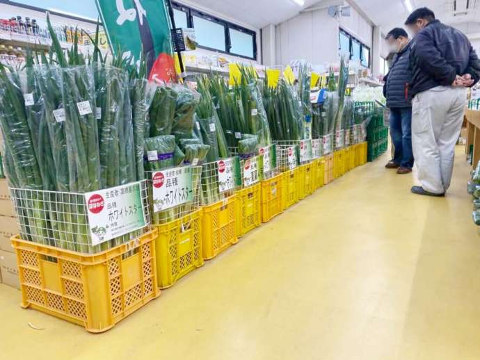 道の駅おかべで販売されているさまざまな品種の深谷ねぎ