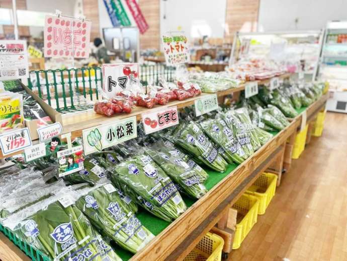 「道の駅 ポート赤碕」内の「JA鳥取中央直売店あぐりポート琴浦」で販売中の新鮮な地元野菜