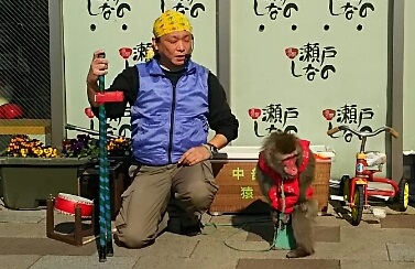 道の駅瀬戸しなのでの猿芸の様子