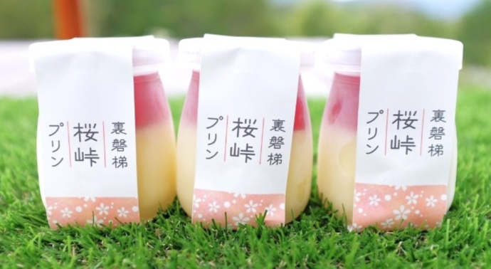 併設の「お土産コーナー」で販売中のオリジナルスイーツ「桜峠プリン」