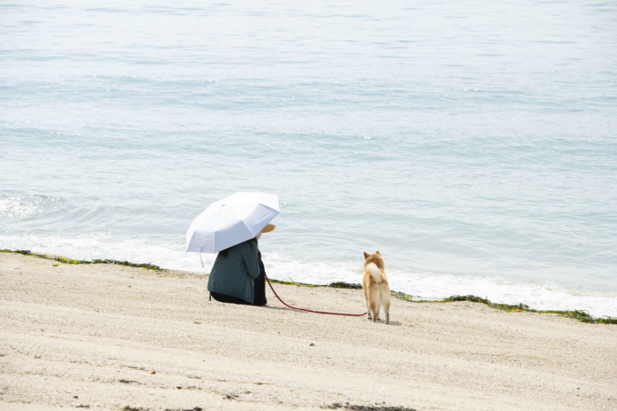 三原市の浜辺