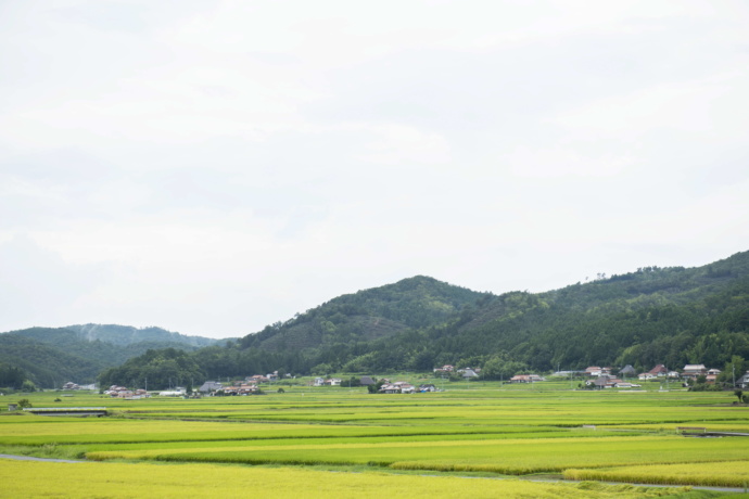 三原市の山間部の田園風景