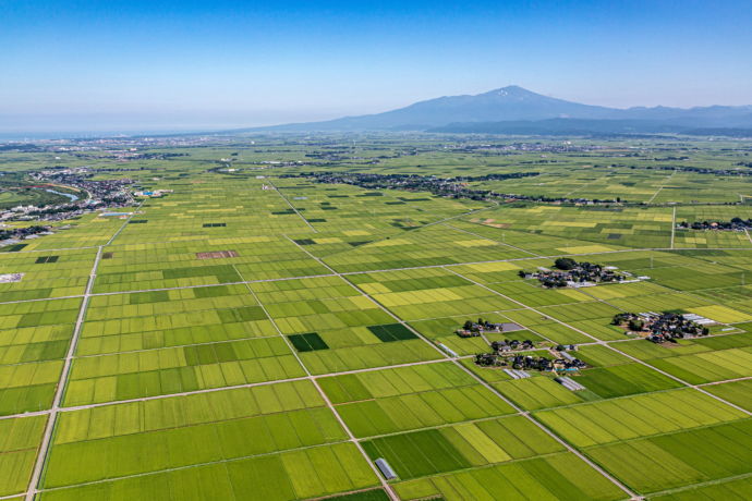 三川町の航空写真