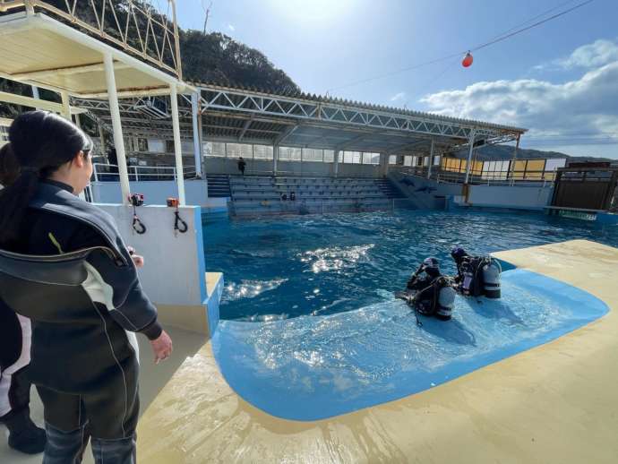 下田海中水族館のショープールでドルフィンダイビングの準備をしている様子