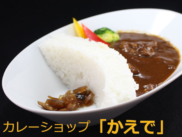 水上高原スキーリゾートのカレーショップかえでのカレー