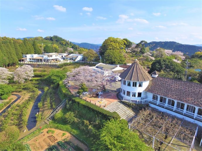 福田農場の全景