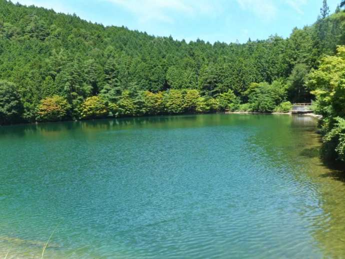 南アルプス市の南伊奈ヶ湖のエメラルドグリーンの水面