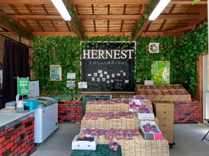 南アルプス市にあるフルーツギフト専門店「HERNEST FRUIT SELECT SHOP」