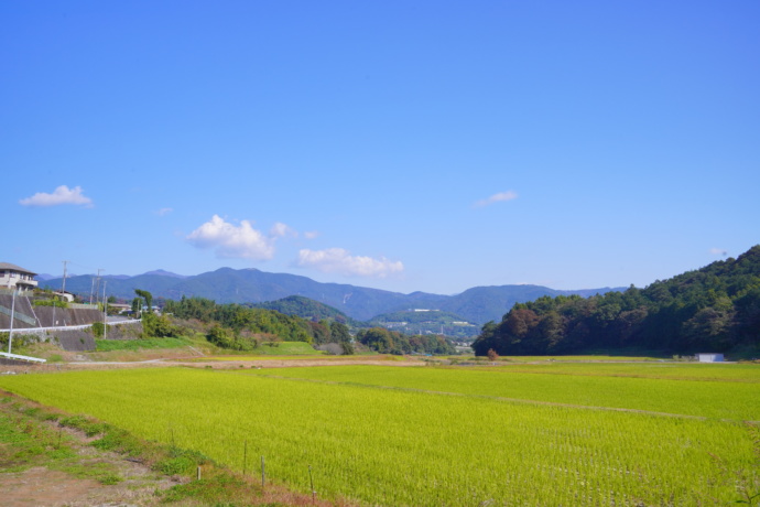 南足柄市の里山風景