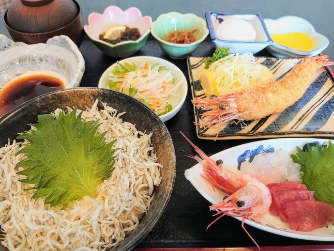 田中屋旅館の釜揚げしらす丼定食