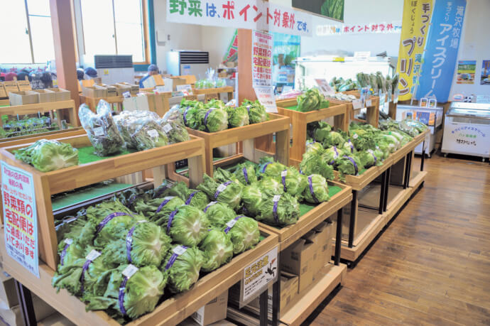 南牧村で販売されている高原野菜