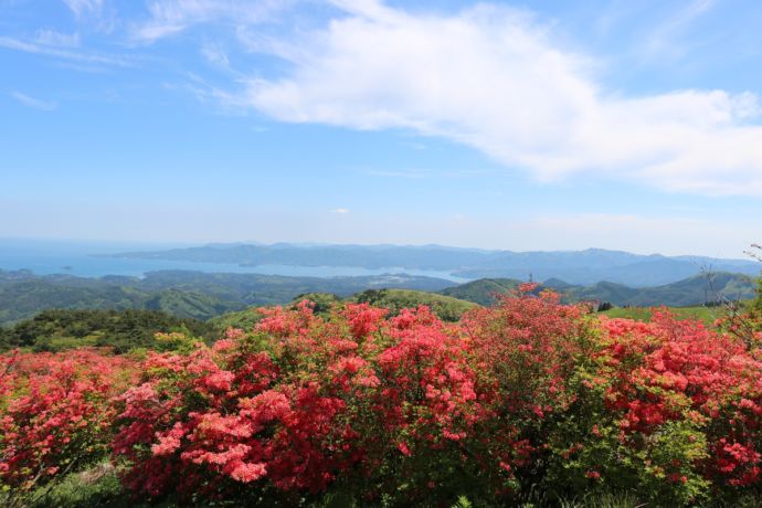 南三陸町の田束山